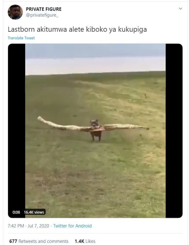 Private figure privatefigure lastborn akitumwa alete kiboko ya kukupiga translat