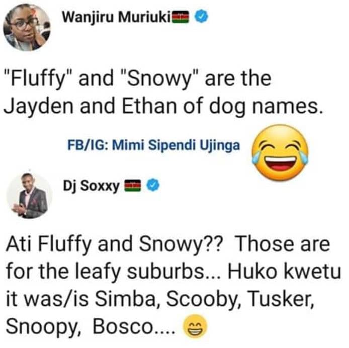 Wanjiru muriukit fluffy and snowy' are the jayden and ethan of dog names. fbig m