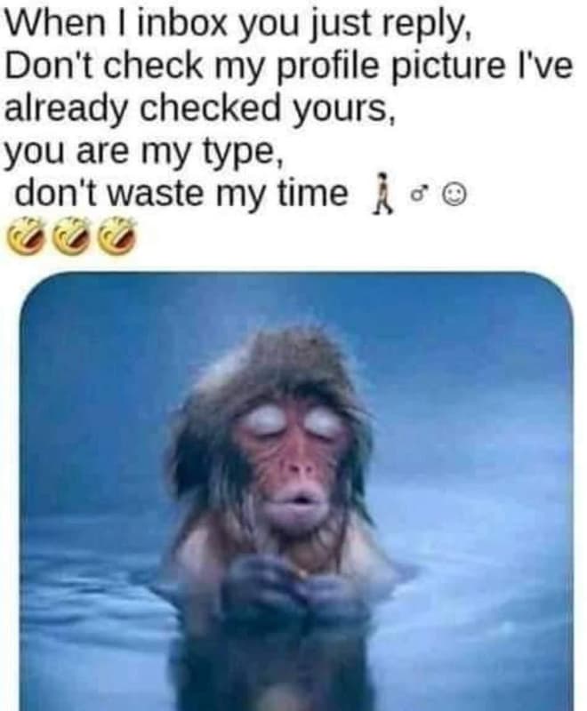 When inbox you just reply don't check my profile picture i've already checked yo