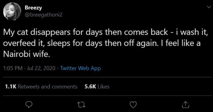 Breezy breegathoni2 my cat disappears for days then comes back wash it, overfeed