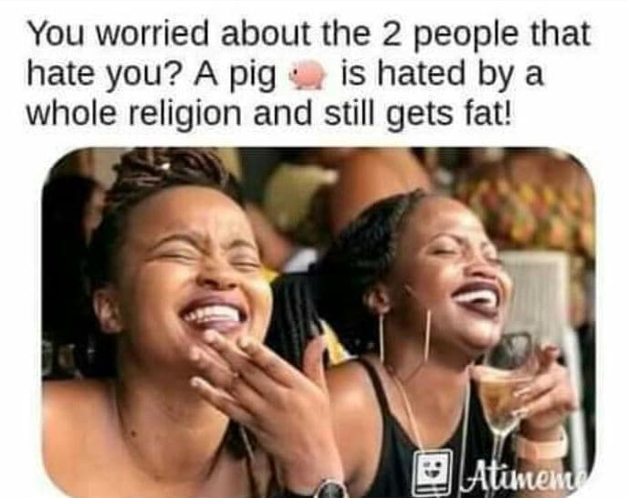 You worried about the 2 people that hate you? a pig is hated by a whole religion
