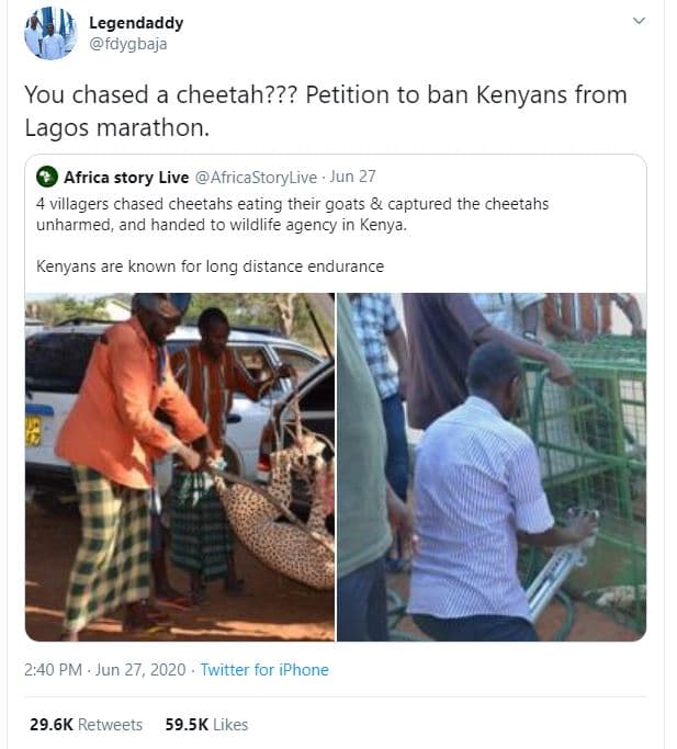 Legendaddy fdygbaja you chased a cheetah??? petition to ban kenyans from lagos m