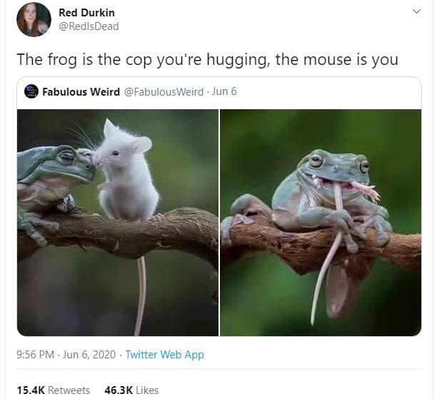 Red durkin redlsdead the frog is the cop you' 're hugging the mouse is you fabul