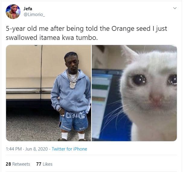 Jefa limorio _ 5year old me after being told the orange seed just swallowed itam