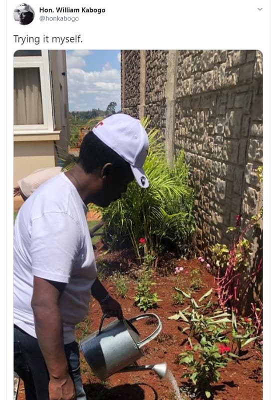 Hon. william kabogo honkabogo trying it myself