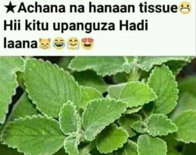 Achana na hanaan tissue hii kitu upanguza hadi laana