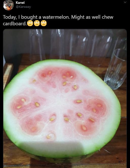 Karwi karwaay today, bought a watermelon. might as well chew cardboard.