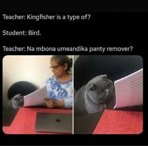 Teacher kingfisher is a type of? student bird. teacher na mbona umeandika panty