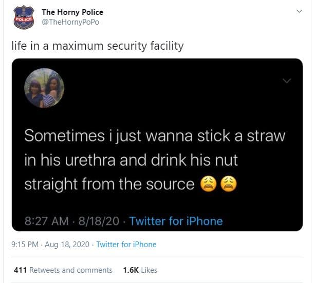 The horny police pouci thehornypopo life in a maximum security facility sometime