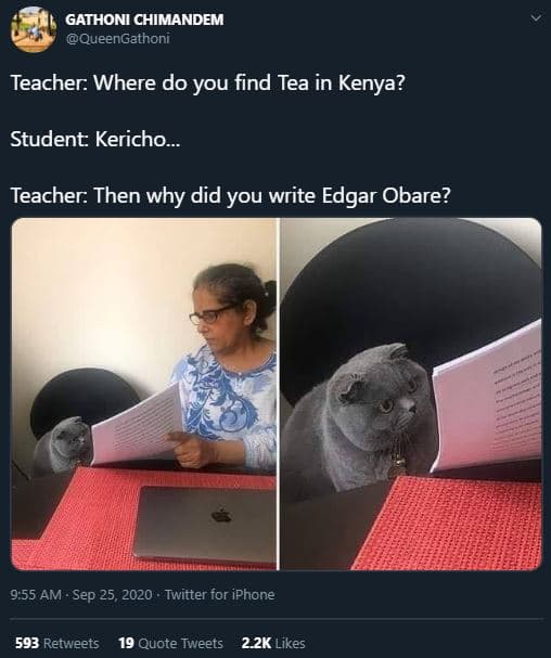 Gathoni chimandem queengathoni teacher where do you find tea in kenya? student k