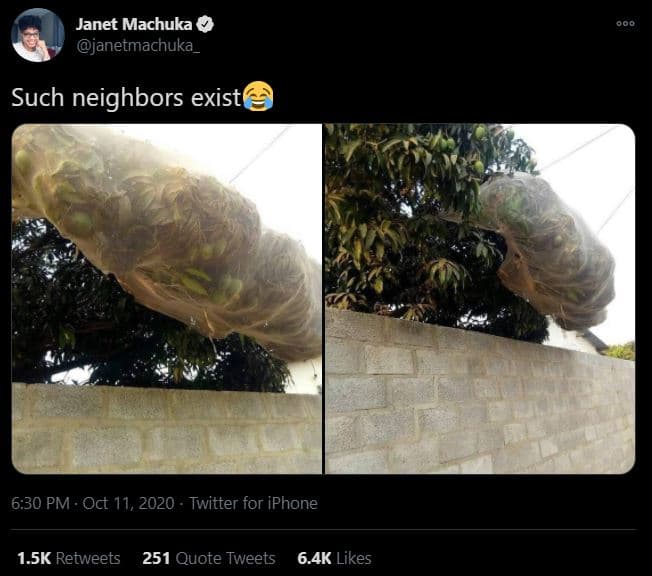 Janet machuka janetmachuka _ such neighbors existe 6.30 pm oct 11, twitter for i