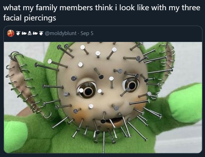 What my family members think i look like with my three facial piercings 3 ? mold