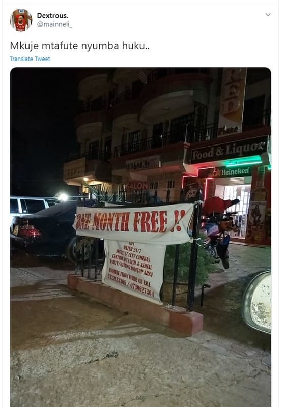 Dextrous_ mainneli_ mkuje mtafute nyumba huku.. translate tweet ood liquos heine
