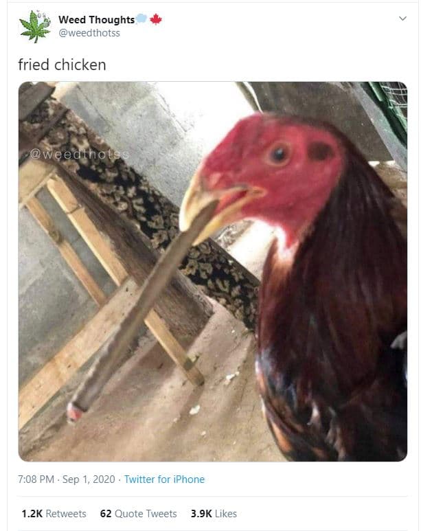 Weed thoughts weedthotss fried chicken weedthots 7.08 pm sep 1, twitter for ipho