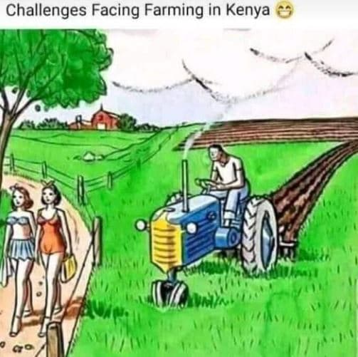 Challenges facing farming in kenya