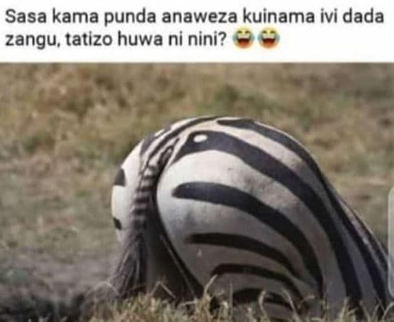 Sasa kama punda anaweza kuinama ivi dada zangu tatizo huwa ni nini?
