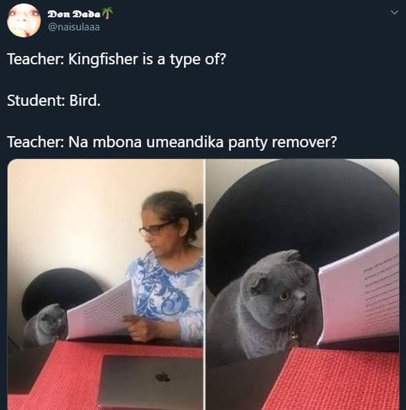 Don daba naisulaaa teacher kingfisher is a type of? student bird. teacher na mbo