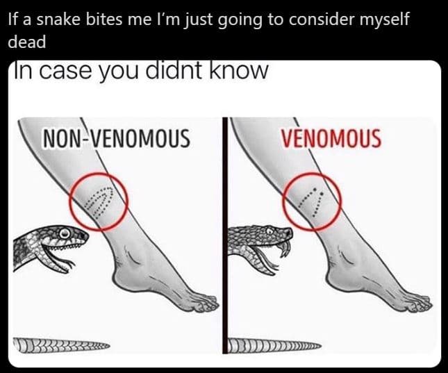 If a snake bites me im just going to consider myself dead in case you didnt know