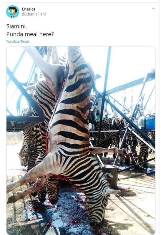 Charles charlieflani siamini. punda meal here? translate tweet