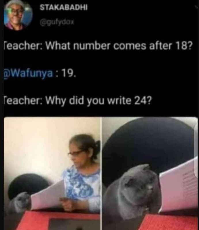 Stakabadhi gulydor teacher what number comes after 18? wafunya 19. teacher why d
