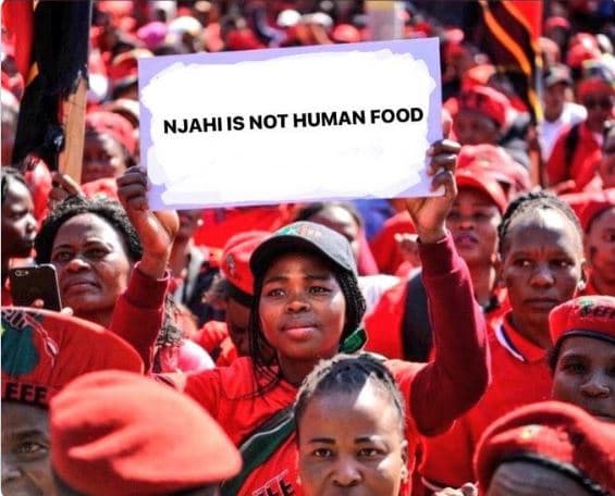 Njahi is not human food aas