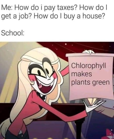 Me how do pay taxes? how do get a job? how do buy a house? school chlorophyll ma
