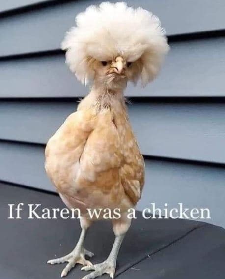 If karen was a chicken