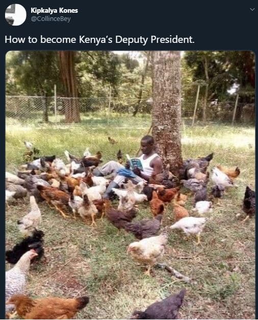 Kipkalya kones collincebey how to become kenya's deputy president.