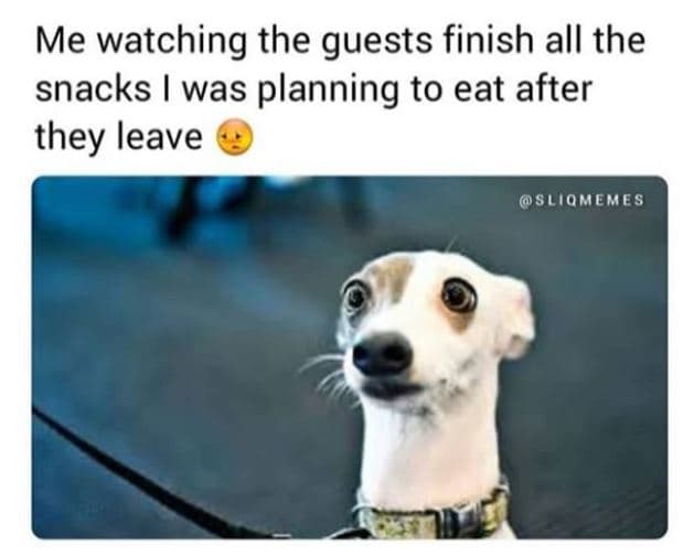 Me watching the guests finish all the snacks was planning to eat after they leav