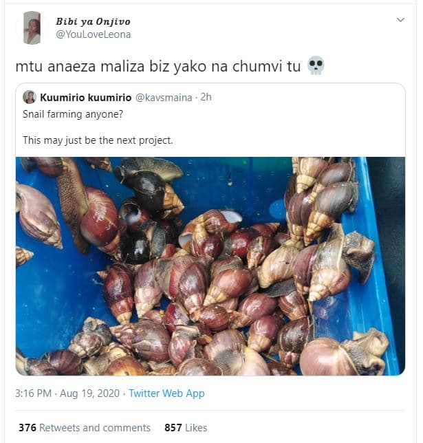 Bibi ya onjivo youloveleona mtu anaeza maliza biz yako na chumvi tu kuumirio kuu