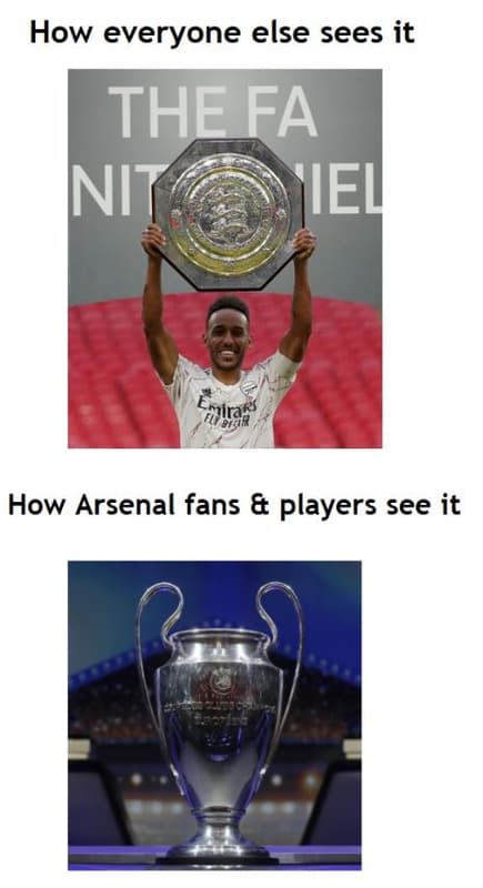 How everyone else sees it thefa ni iiel how arsenal fans players see it iniras