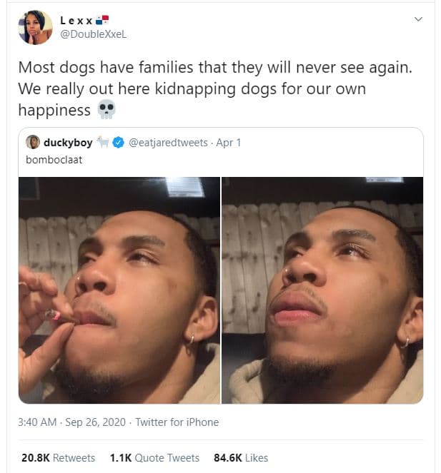 Lex x doublexxel most dogs have families that they will never see again we reall