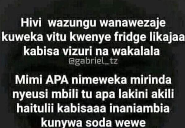 Hivi wazungu wanawezaje kuweka vitu kwenye fridge likajaa kabisa vizuri na wakal