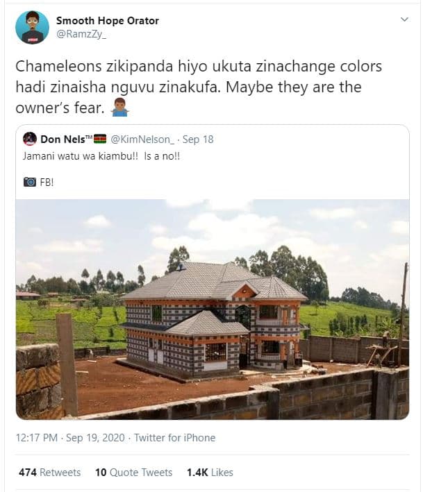 Smooth hope orator ramzzy _ chameleons zikipanda hiyo ukuta zinachange colors ha