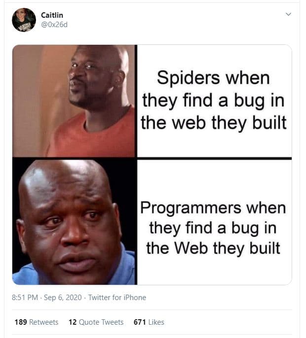 Caitlin ox26d spiders when they find a bug in the web they built programmers whe