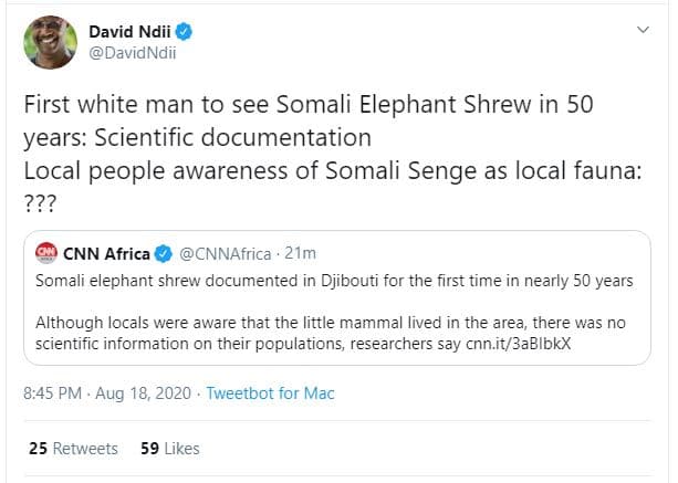 David ndii davidndii first white man to see somali elephant shrew in 50 years sc