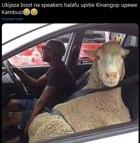 Ukijaza boot na speakers halafu upitie kinangop upewe kambuzi translate tweet