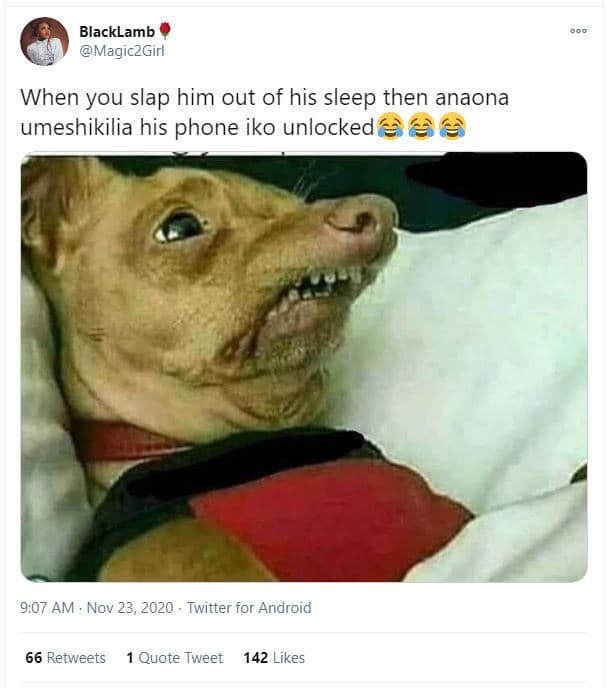 Blacklamb magiczgirl when you slap him out of his sleep then anaona umeshikilia