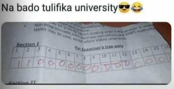 Na bado tulifika university an prov lablea mo 60 u vne funa srctlon loclaminre,