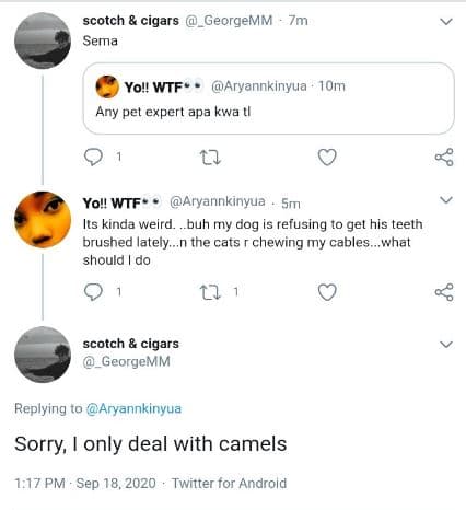 Scotch cigars sema georgemm 7m yol wtf' aryannkinyua 10m any pel expert apa kwa