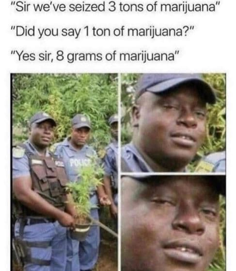 Sir we've seized 3 tons of marijuana did you say 1ton of marijuana? yes sir, 8 g