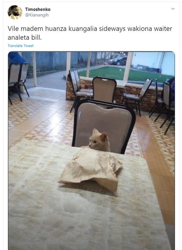 Timoshenko kianangih vile madem huanza kuangalia sideways wakiona waiter analeta