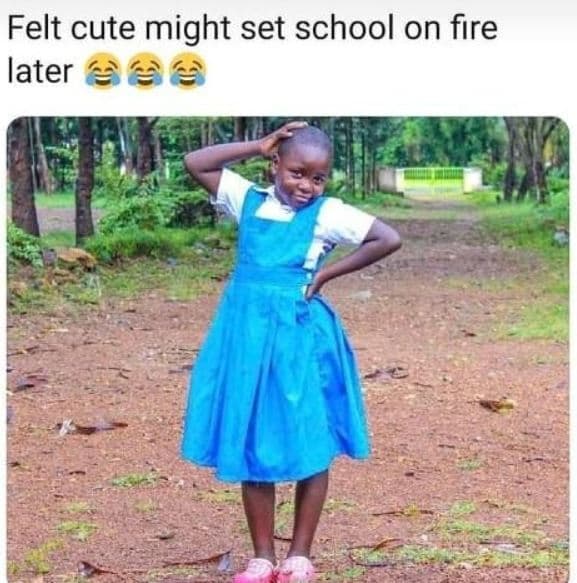 Felt cute might set school on fire later e