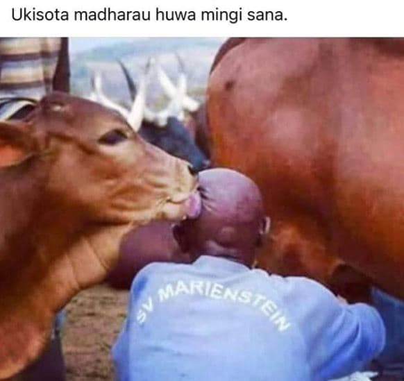 Ukisota madharau huwa mingi sana. 5 ariensts