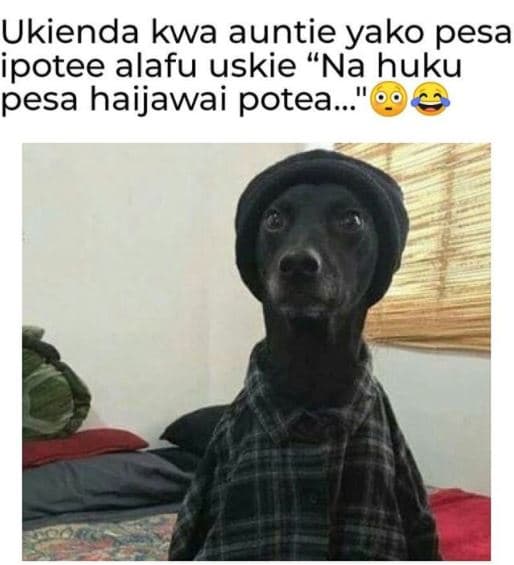 Ukienda kwa auntie yako pesa ipotee alafu uskie na huku pesa haijawai potea_