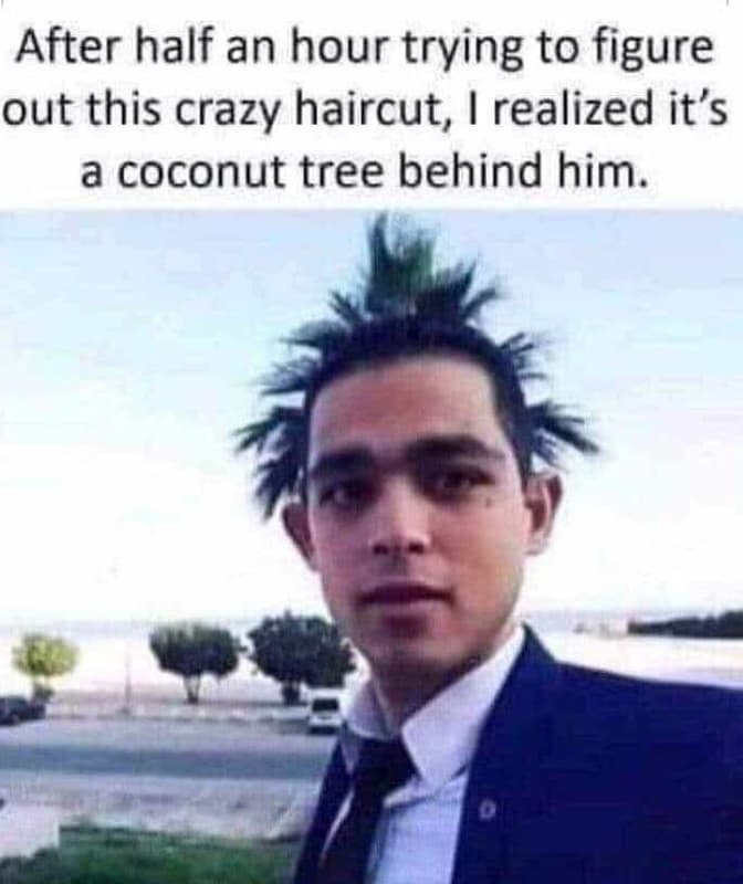 After half an hour trying to figure out this crazy haircut, realized it's a coco