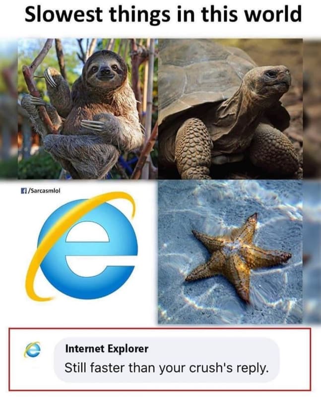 Slowest things in this world isarcasmlol 2 internet explorer still faster than y