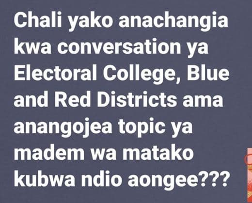 Chali yako anachangia kwa conversation ya electoral college blue and red distric