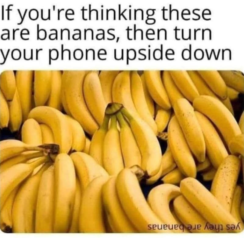 If you're thinking these are bananas, then turn your phone upside down seueueqaj