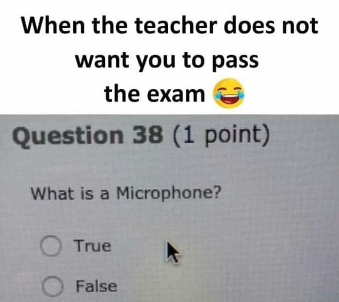 When the teacher does not want you to pass the exam question 38 1 point what is